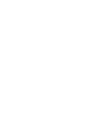 Smoke Regulator
